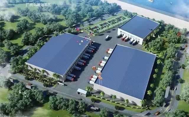 神龙丰物流简述什么食品需要进行运输